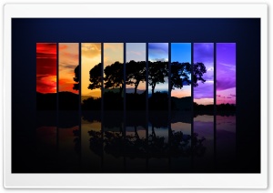 Spectrum Of A Tree Ultra HD Wallpaper for 4K UHD Widescreen desktop, tablet & smartphone