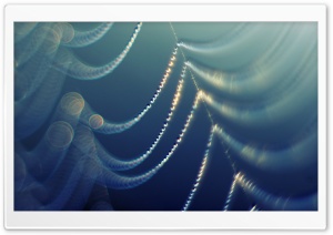Spider Chandelier Ultra HD Wallpaper for 4K UHD Widescreen desktop, tablet & smartphone