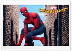 Spider-Man Homecoming Ultra HD Wallpaper for 4K UHD Widescreen desktop, tablet & smartphone