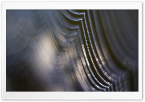 Spider Web Ultra HD Wallpaper for 4K UHD Widescreen desktop, tablet & smartphone