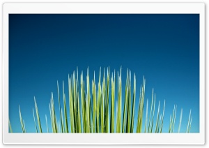 Spike Ultra HD Wallpaper for 4K UHD Widescreen desktop, tablet & smartphone