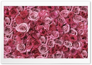 Spirals Of Love Ultra HD Wallpaper for 4K UHD Widescreen desktop, tablet & smartphone
