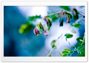 Splash Of Color Ultra HD Wallpaper for 4K UHD Widescreen desktop, tablet & smartphone