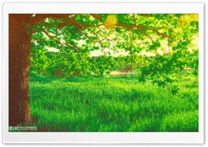 Spring Ultra HD Wallpaper for 4K UHD Widescreen desktop, tablet & smartphone