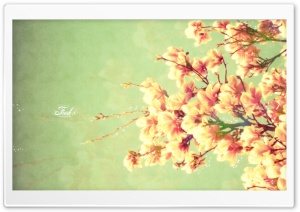 Spring Ultra HD Wallpaper for 4K UHD Widescreen desktop, tablet & smartphone