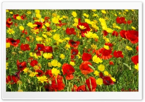 Spring Day Ultra HD Wallpaper for 4K UHD Widescreen desktop, tablet & smartphone