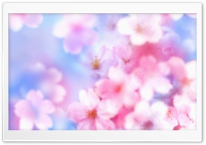 Spring Day 3 Ultra HD Wallpaper for 4K UHD Widescreen desktop, tablet & smartphone