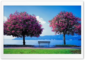 Spring Fishing Ultra HD Wallpaper for 4K UHD Widescreen desktop, tablet & smartphone