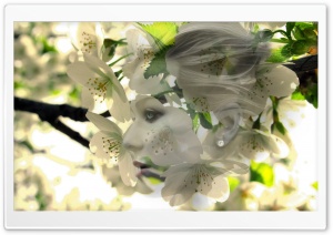 Spring girl Ultra HD Wallpaper for 4K UHD Widescreen desktop, tablet & smartphone