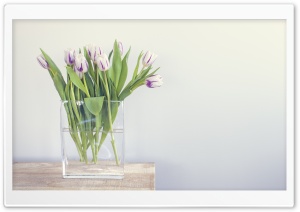 Spring is Here Ultra HD Wallpaper for 4K UHD Widescreen desktop, tablet & smartphone