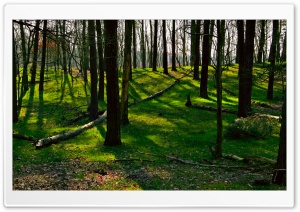 Spring Landscape Nature 11 Ultra HD Wallpaper for 4K UHD Widescreen desktop, tablet & smartphone