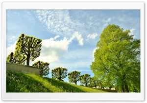 Spring Landscape Nature Ultra HD Wallpaper for 4K UHD Widescreen desktop, tablet & smartphone
