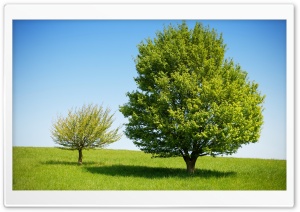 Spring Landscape Nature 4 Ultra HD Wallpaper for 4K UHD Widescreen desktop, tablet & smartphone