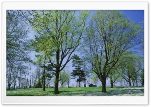 Spring Meadow Lexington Kentucky Ultra HD Wallpaper for 4K UHD Widescreen desktop, tablet & smartphone