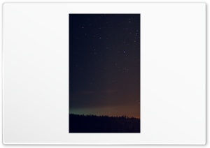 Stars above forest Ultra HD Wallpaper for 4K UHD Widescreen desktop, tablet & smartphone