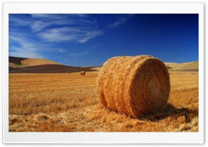 Straw Bale Autumn Ultra HD Wallpaper for 4K UHD Widescreen desktop, tablet & smartphone