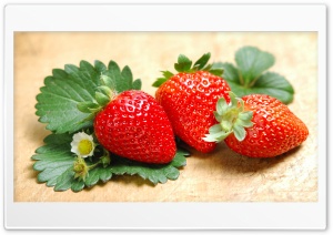 Strawberries Ultra HD Wallpaper for 4K UHD Widescreen desktop, tablet & smartphone