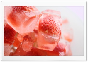 Strawberries On Ice Cubes Ultra HD Wallpaper for 4K UHD Widescreen desktop, tablet & smartphone