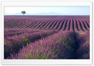 Summer Landscape 6 Ultra HD Wallpaper for 4K UHD Widescreen desktop, tablet & smartphone