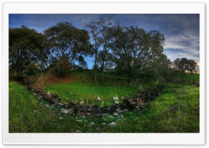 Summer Landscape Nature Ultra HD Wallpaper for 4K UHD Widescreen desktop, tablet & smartphone