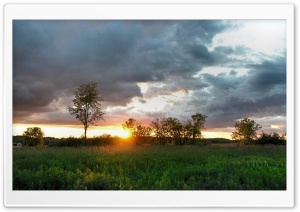 Summer Landscape Nature 11 Ultra HD Wallpaper for 4K UHD Widescreen desktop, tablet & smartphone