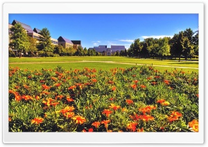 Summer Landscape Nature 16 Ultra HD Wallpaper for 4K UHD Widescreen desktop, tablet & smartphone