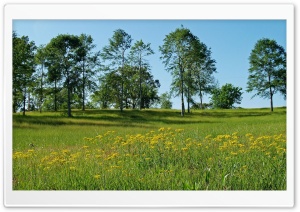 Summer Landscape Nature 2 Ultra HD Wallpaper for 4K UHD Widescreen desktop, tablet & smartphone