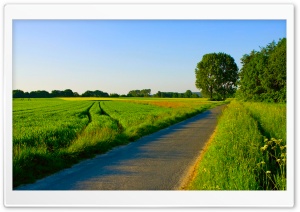 Summer Landscape Nature 5 Ultra HD Wallpaper for 4K UHD Widescreen desktop, tablet & smartphone
