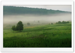 Summer Landscape Nature 8 Ultra HD Wallpaper for 4K UHD Widescreen desktop, tablet & smartphone