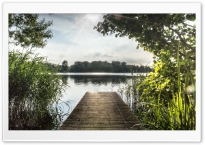 Summer Nature Ultra HD Wallpaper for 4K UHD Widescreen desktop, tablet & smartphone