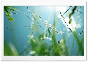 Summer Sky Ultra HD Wallpaper for 4K UHD Widescreen desktop, tablet & smartphone