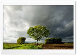 Summer Storm Clouds Ultra HD Wallpaper for 4K UHD Widescreen desktop, tablet & smartphone