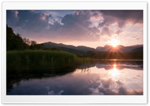 Summer Sunshine Ultra HD Wallpaper for 4K UHD Widescreen desktop, tablet & smartphone