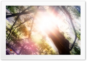 sun flashing Ultra HD Wallpaper for 4K UHD Widescreen desktop, tablet & smartphone
