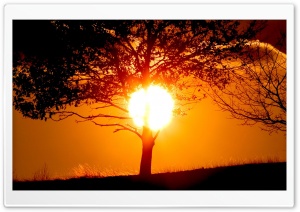 Sun In The Sky 5 Ultra HD Wallpaper for 4K UHD Widescreen desktop, tablet & smartphone