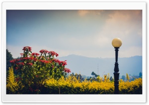 Sun kissed Ultra HD Wallpaper for 4K UHD Widescreen desktop, tablet & smartphone