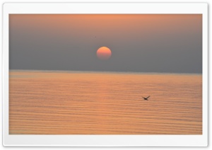 Sun Rise Traveling Ultra HD Wallpaper for 4K UHD Widescreen desktop, tablet & smartphone