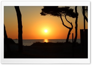 SUN RISING Ultra HD Wallpaper for 4K UHD Widescreen desktop, tablet & smartphone