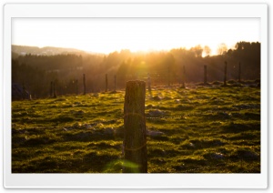 Sun Shining on Fence Ultra HD Wallpaper for 4K UHD Widescreen desktop, tablet & smartphone