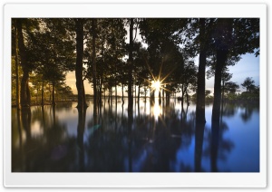 Sun Shining through Wilderness Ultra HD Wallpaper for 4K UHD Widescreen desktop, tablet & smartphone