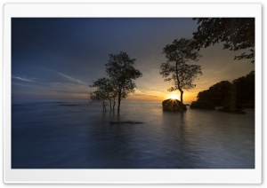 Sun, Trees, Water Ultra HD Wallpaper for 4K UHD Widescreen desktop, tablet & smartphone