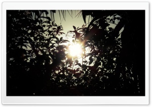 Sunday Sunset Ultra HD Wallpaper for 4K UHD Widescreen desktop, tablet & smartphone