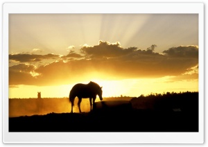Sundown On The Farm Ultra HD Wallpaper for 4K UHD Widescreen desktop, tablet & smartphone