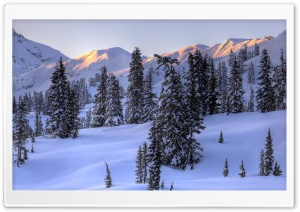 Sunlight On Mountains Ultra HD Wallpaper for 4K UHD Widescreen desktop, tablet & smartphone