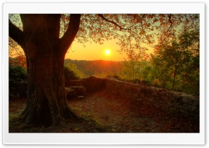 Sunny Autumn Day Ultra HD Wallpaper for 4K UHD Widescreen desktop, tablet & smartphone