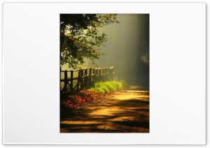 Sunny Autumn Day Ultra HD Wallpaper for 4K UHD Widescreen desktop, tablet & smartphone