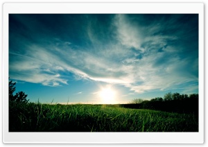 Sunny Day, Summer Ultra HD Wallpaper for 4K UHD Widescreen desktop, tablet & smartphone