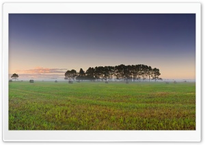 Sunrise Over Crop Field Ultra HD Wallpaper for 4K UHD Widescreen desktop, tablet & smartphone