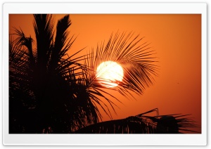 Sunset at Raipur Ultra HD Wallpaper for 4K UHD Widescreen desktop, tablet & smartphone