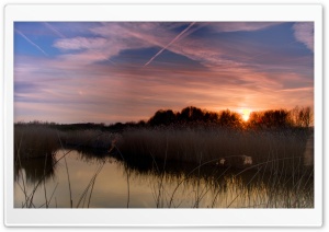 Sunset Bieslandse Forest Ultra HD Wallpaper for 4K UHD Widescreen desktop, tablet & smartphone